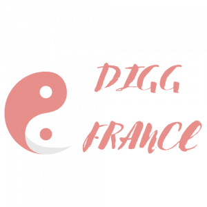 DIGG FRANCE-LOGO